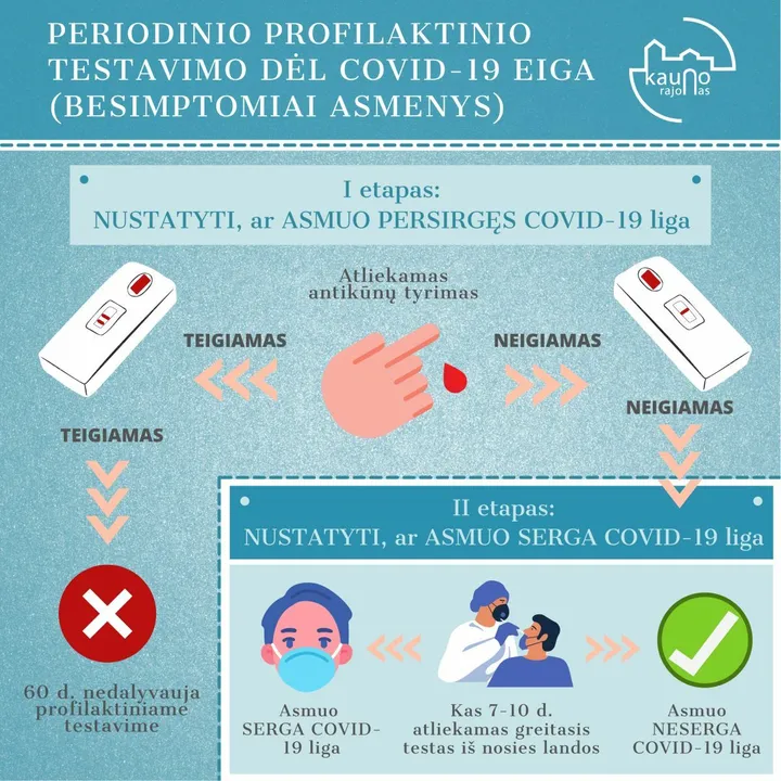 testavimosi eiga1
