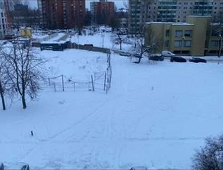 vezios ziema