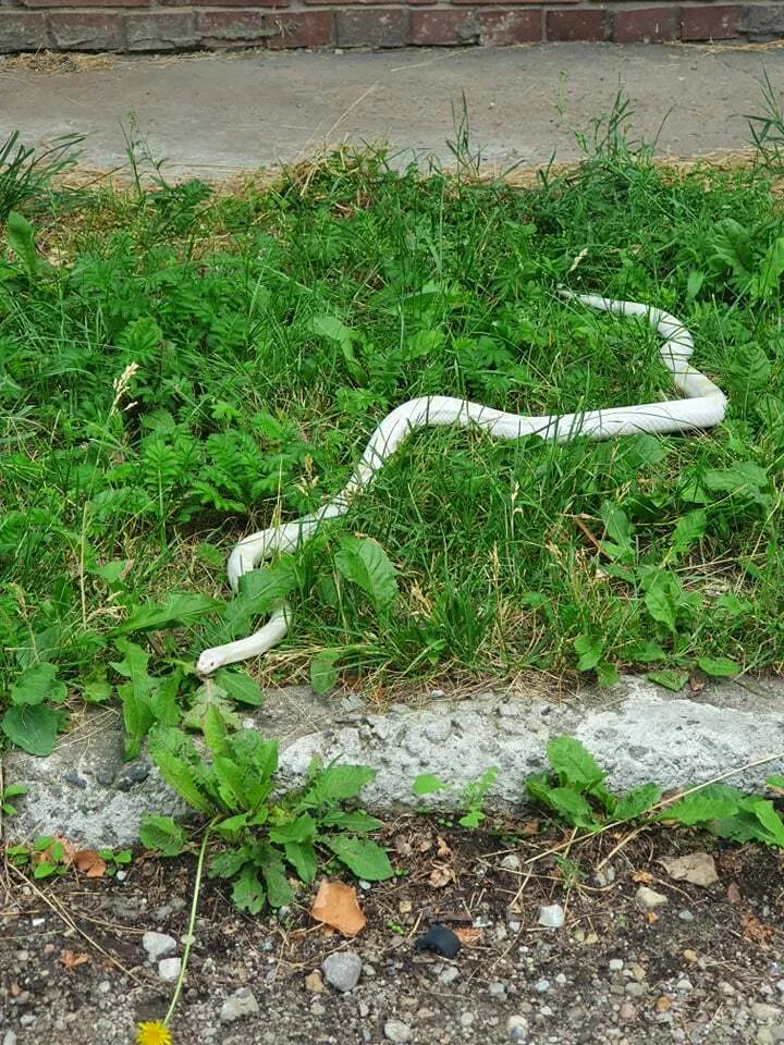 210142186 1181145949028656 2618102051523119529 n