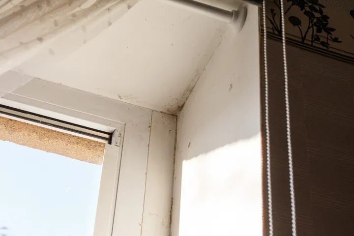 Renovuojamas namas be šildymo