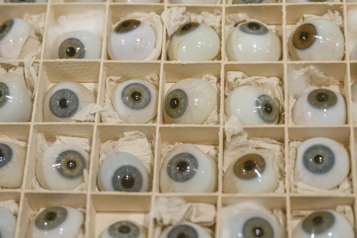 Anatomijos muziejaus ekspozicija / R. Tenio nuotr.