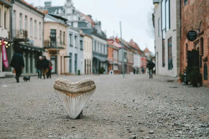 Mitinio Kauno Žvėries dantis / A. Aleksandravičiaus nuotr.