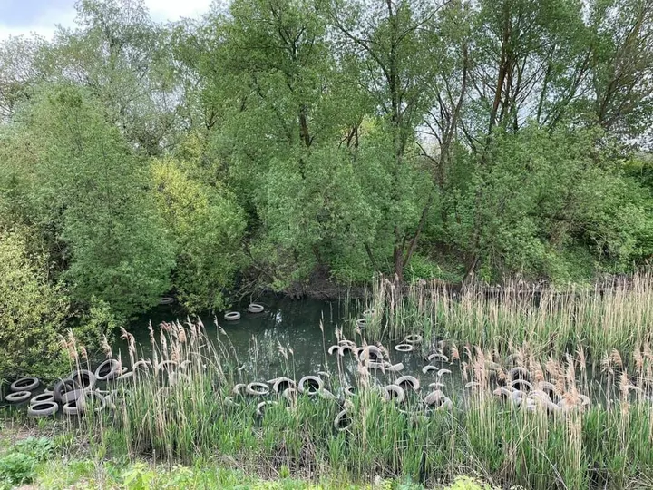 „River Cleanup“ upių valymo akcija Kaune