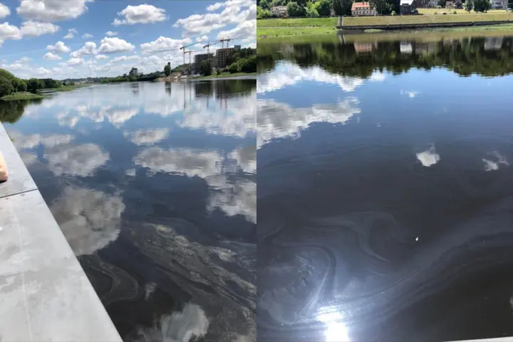 Užterštas Nemunas