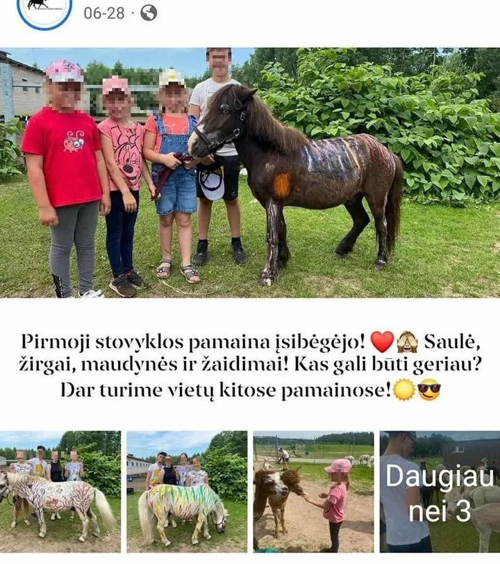 stovyklos irasas 90717299