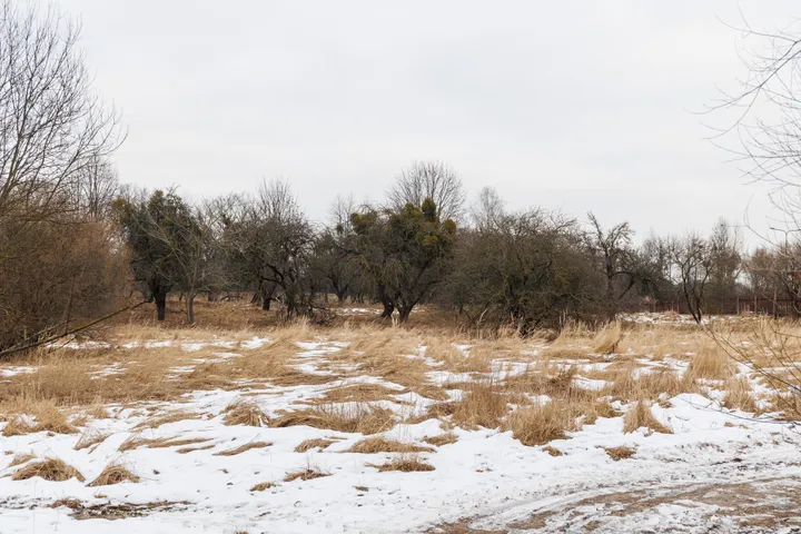 Sklypas prie Botanikos sodo
