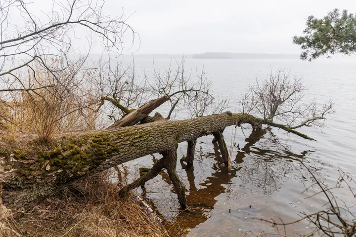 Gastilionių atodanga