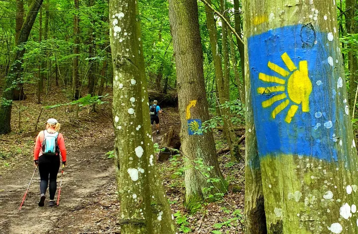 Camino lituano