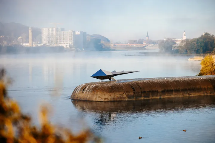 Mitinio-zveries-skulptura.-Grazvydas-Jovaisa