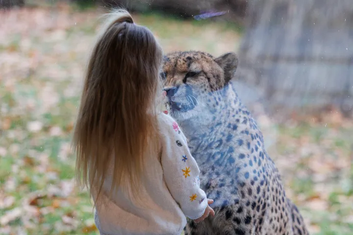Atidaromas Kauno Zoologijos sodas