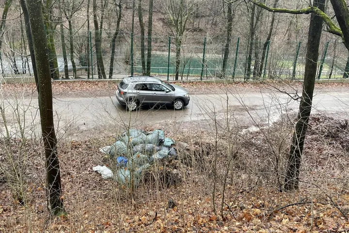 Lietuvos zoologijos sodo sąvartynas