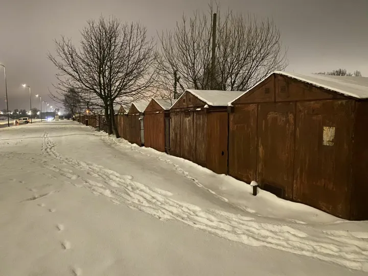 Sėkminga devynmetės Agotos paieška