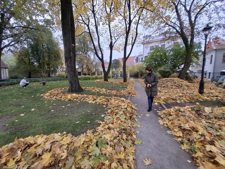 f9be53a4b8d8234218c6504ed46f9d81 scaled