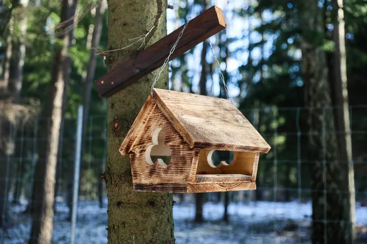 7b2010ac1fb5a989a82b490ff4d03937 scaled