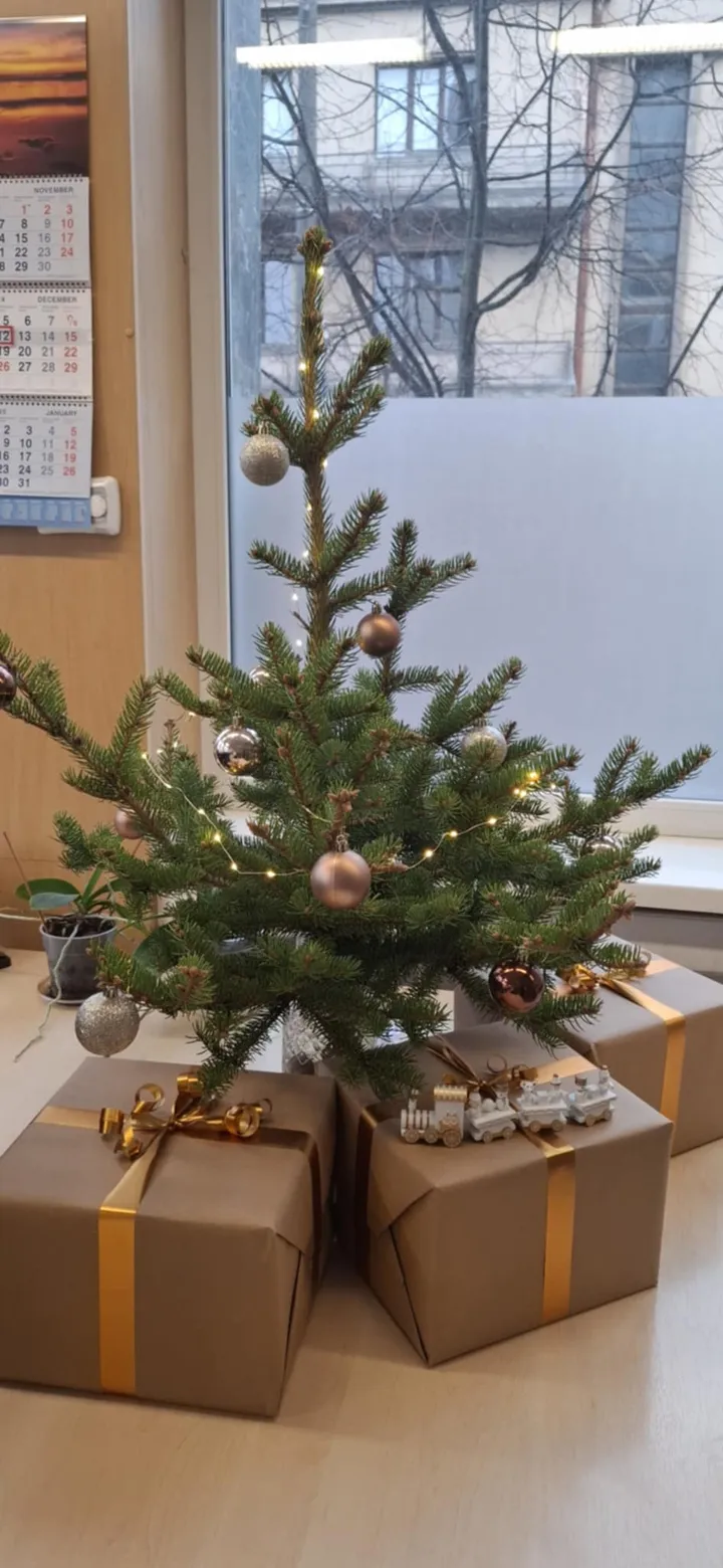 ff947cd416877a0f2ff4b635cff3a509