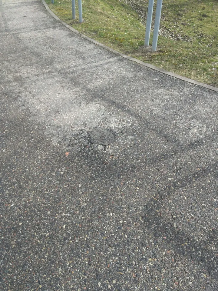 Gumbas dviračių take / „Facebook“ grupės „Kauno dviračių takai“ nuotr.