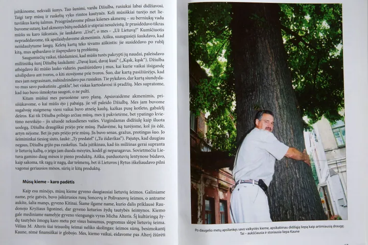 Laisvės alėjos liepa milžinė / M. Patašiaus nuotr.