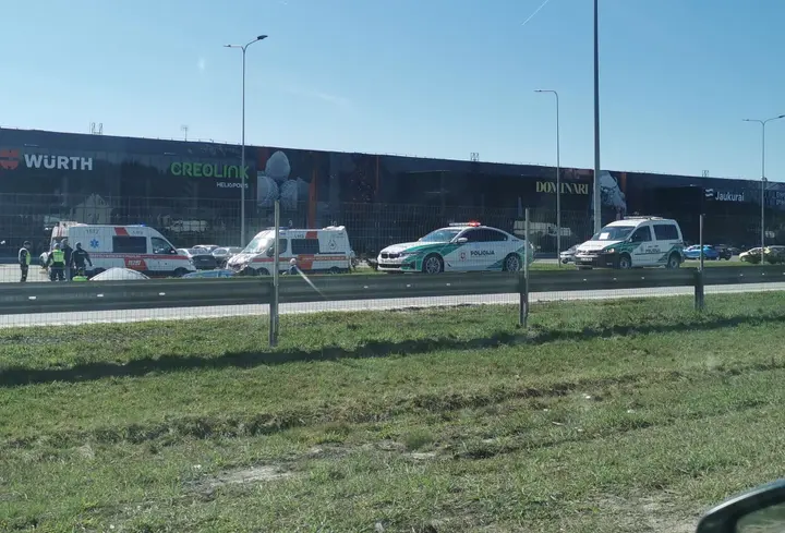 islandijos plentas