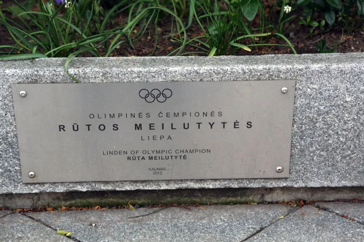 R. Meilutytės liepa / M. Patašiaus nuotr.