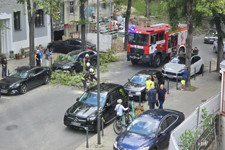 Lūžusių šakų šalinimas V. Putvinskio gatvėje / skaitytojo nuotr.