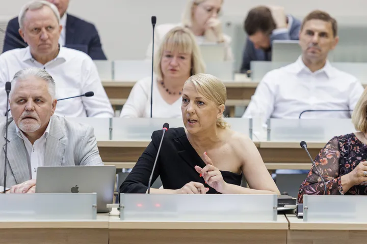 Vaida Pranarauskaitė / R. Tenio nuotr.