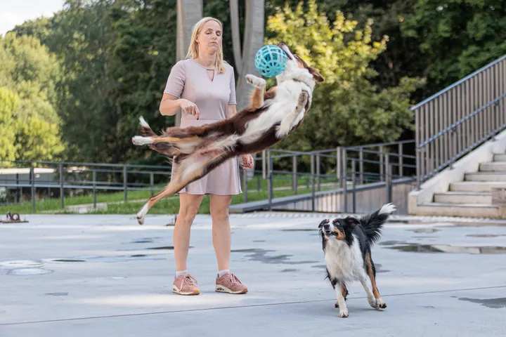 Šunys / R. Tenio nuotr.