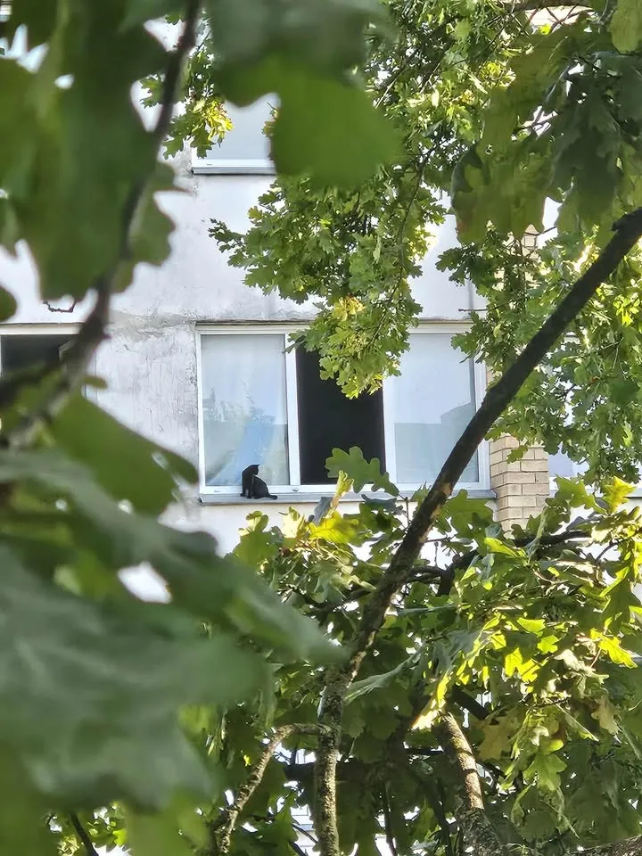 551577460 797191339524485 8074471298073952859 n