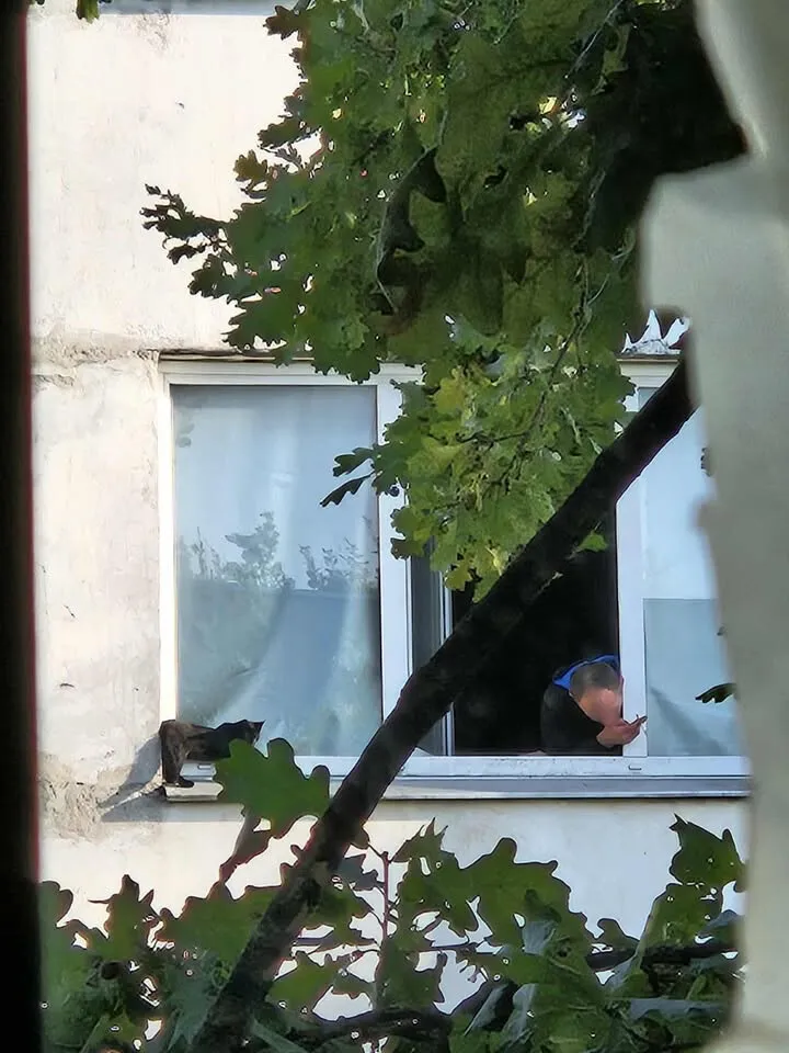 dizainas be pavadinimo 1