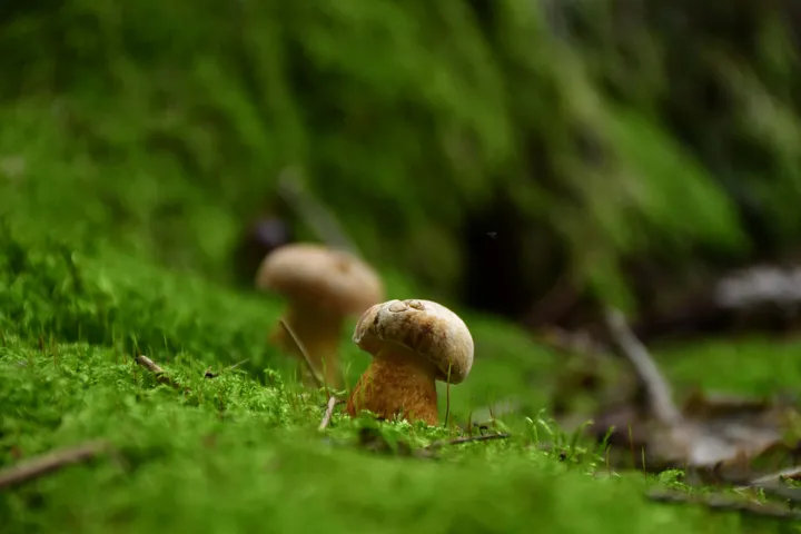 m ilciuko nuotrauka 1