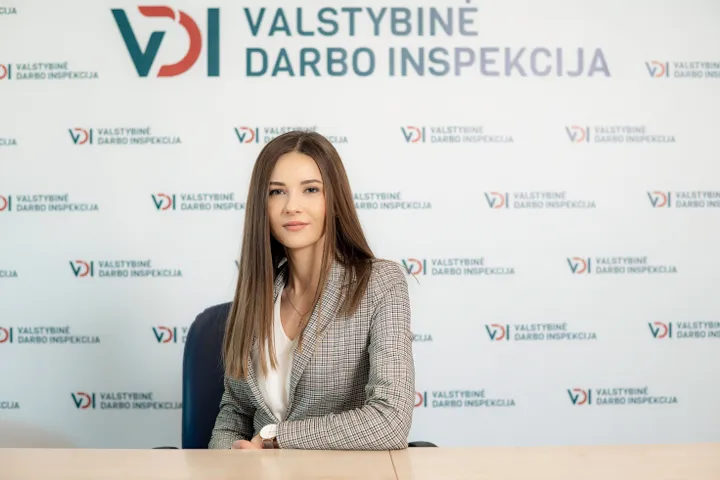 darbo teises skyrius ieva piliciauskaite dulke