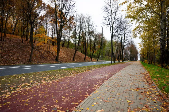 Milikonių kalnas / Kaunas.lt nuotr.