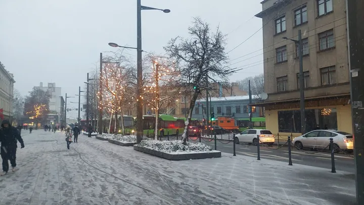 Troleibusai E. Ožeškienės stotelėje / skaitytojos nuotr.