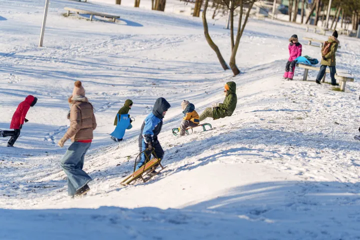 Kalnai, vaikai, žiema, rogutės Paskutinė metų diena Kaune / R. Tenio nuotr.