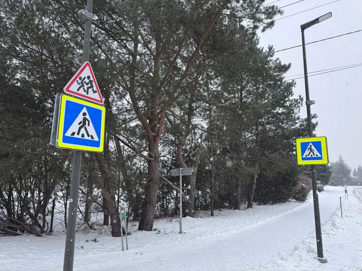 Pėsčiųjų perėjų ženklai Technikumo gatvėje / „Kas vyksta Kaune“ nuotr.