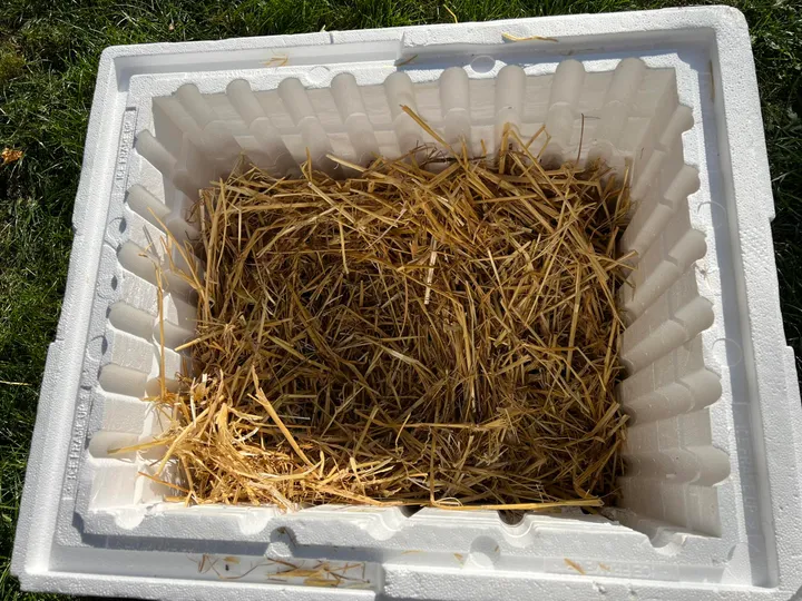 Namelis beglobėms katėms / VšĮ „Rožinė pėdutė“ nuotr.