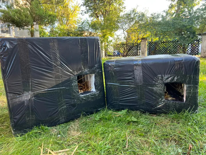 Namelis beglobėms katėms / VšĮ „Rožinė pėdutė“ nuotr.