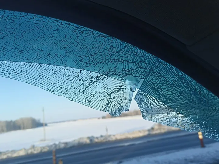 Į važiuojantį automobilį pataikė kulka / Lietuvos medžiotojų ir žvejų draugijos nuotr.