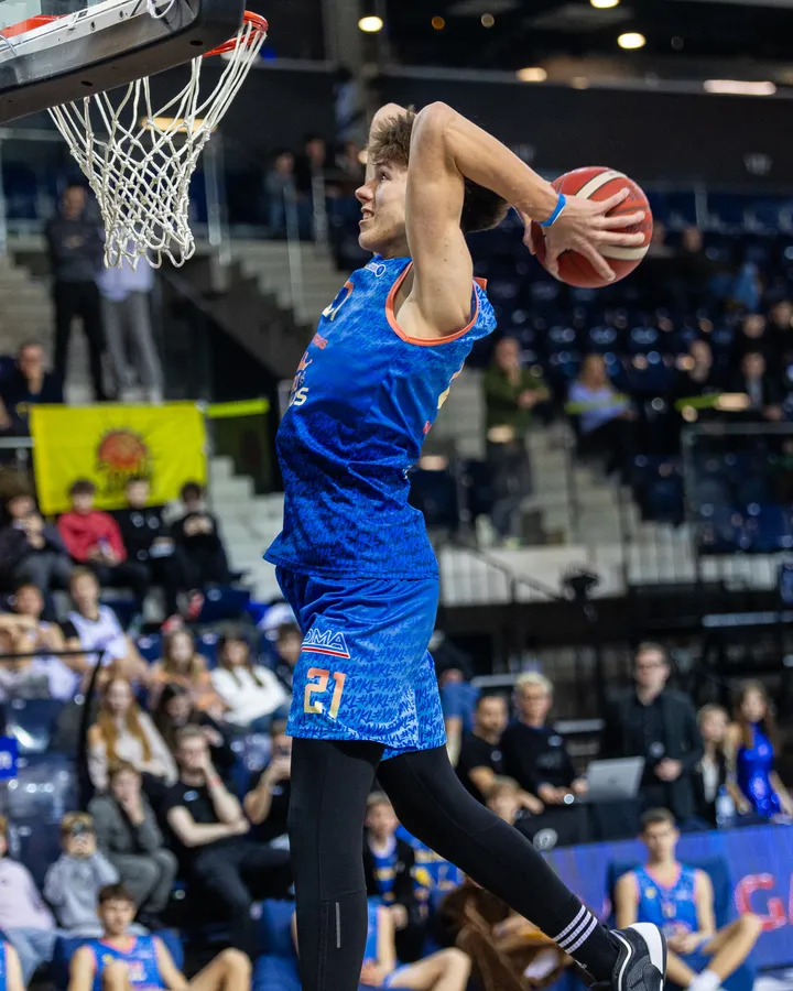 vilkas