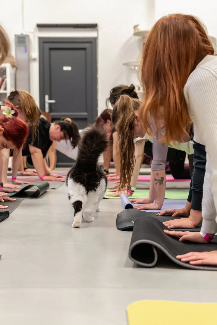 VšĮ „Rožinė pėdutė“ renginiai / Organizatorių nuotr.