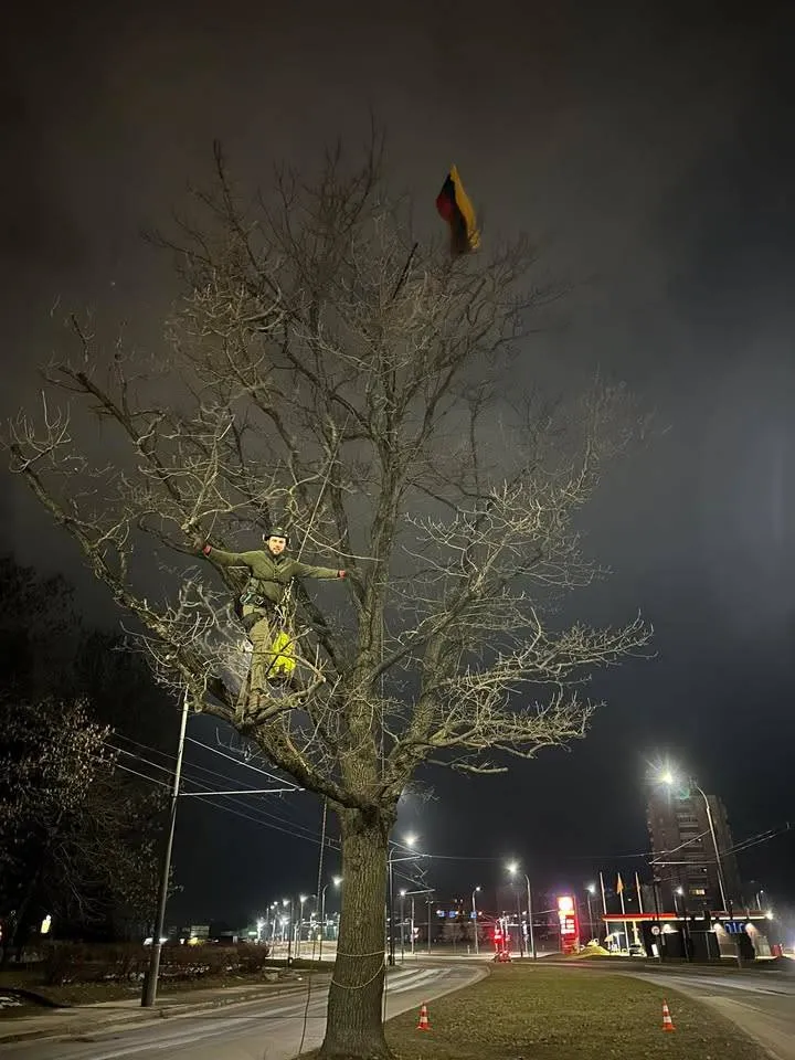 Ąžuolas Sukilėlių pr.