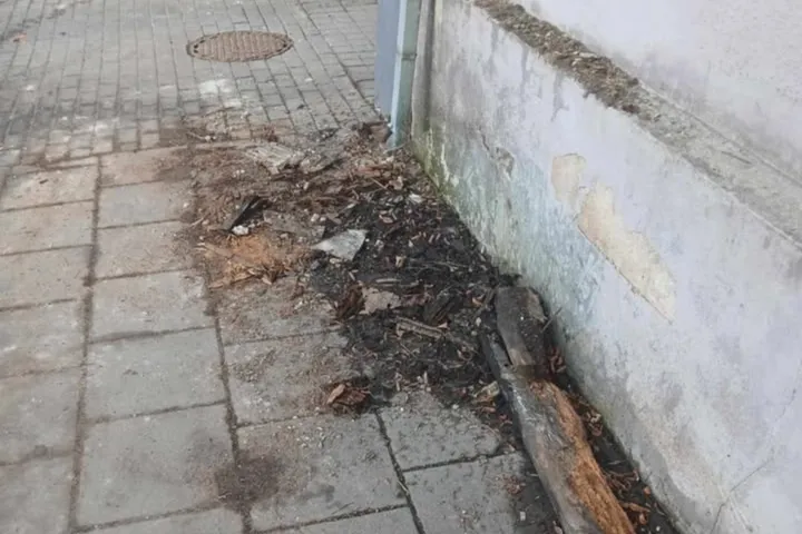 Incidentas K. Donelaičio gatvėje / Skaitytojų nuotr.