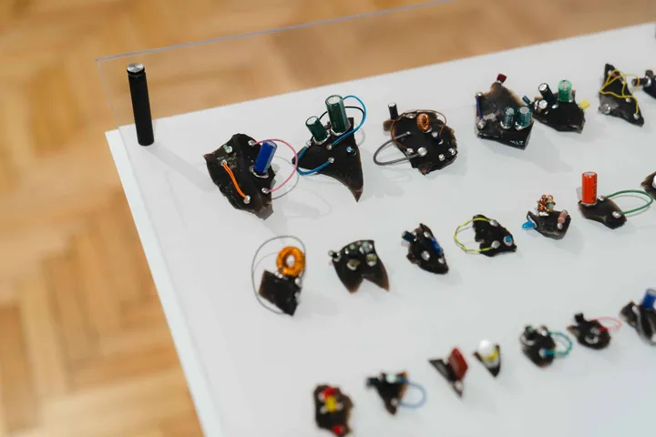 Paroda „Kas lieka delne“. Vyčio Mantrimo nuotr.