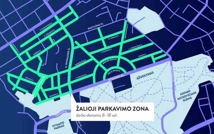 Žaliakalnio gatvių tinklas