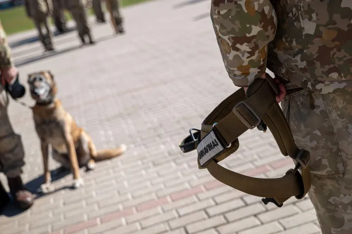 Šuns dienos minėjimas Kaune