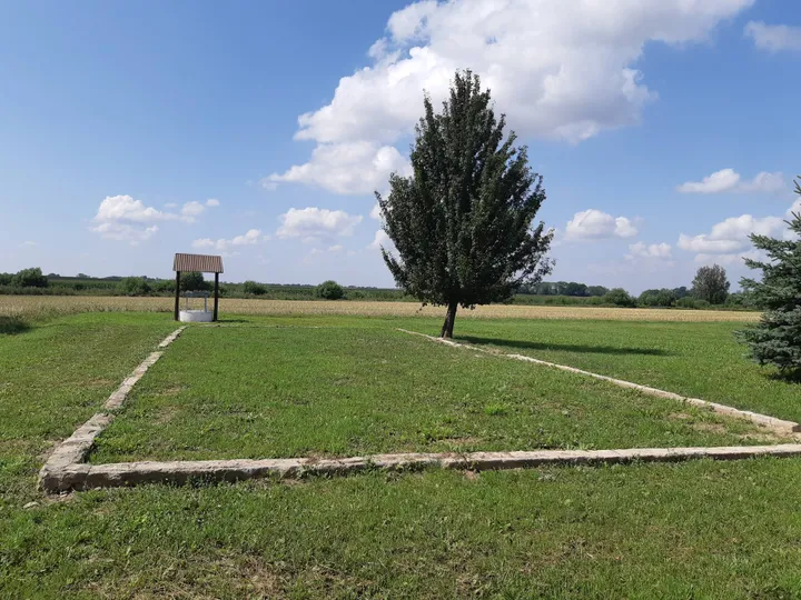 A. Dirsytės gimtųjų namų sodybos vieta – Dirsynė (dab. Kėdainių r., Aukštieji Kapliai), ten stovi Adolfo Teresiaus sukurtas kryžius / D. Gervytės archyvo nuotr.