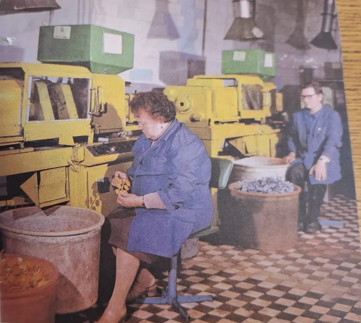 Darbuotojai / Leidinio „Lietuvos aklųjų draugijos Kauno gamybinis mokymo kombinatas" nuotr.