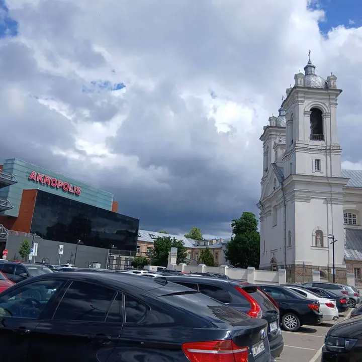 Aušros Vasilauskienės nuotr. (2)