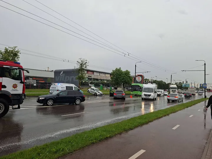 Kaktomuša pramonės gatvėje / „Kas vyksta Kaune“ grupės nuotr.