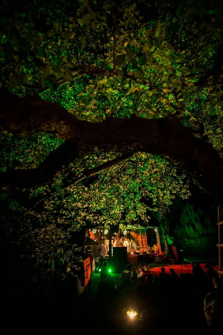 Festivalis „Obelynės Žolinė“ / Organizatorių nuotr.