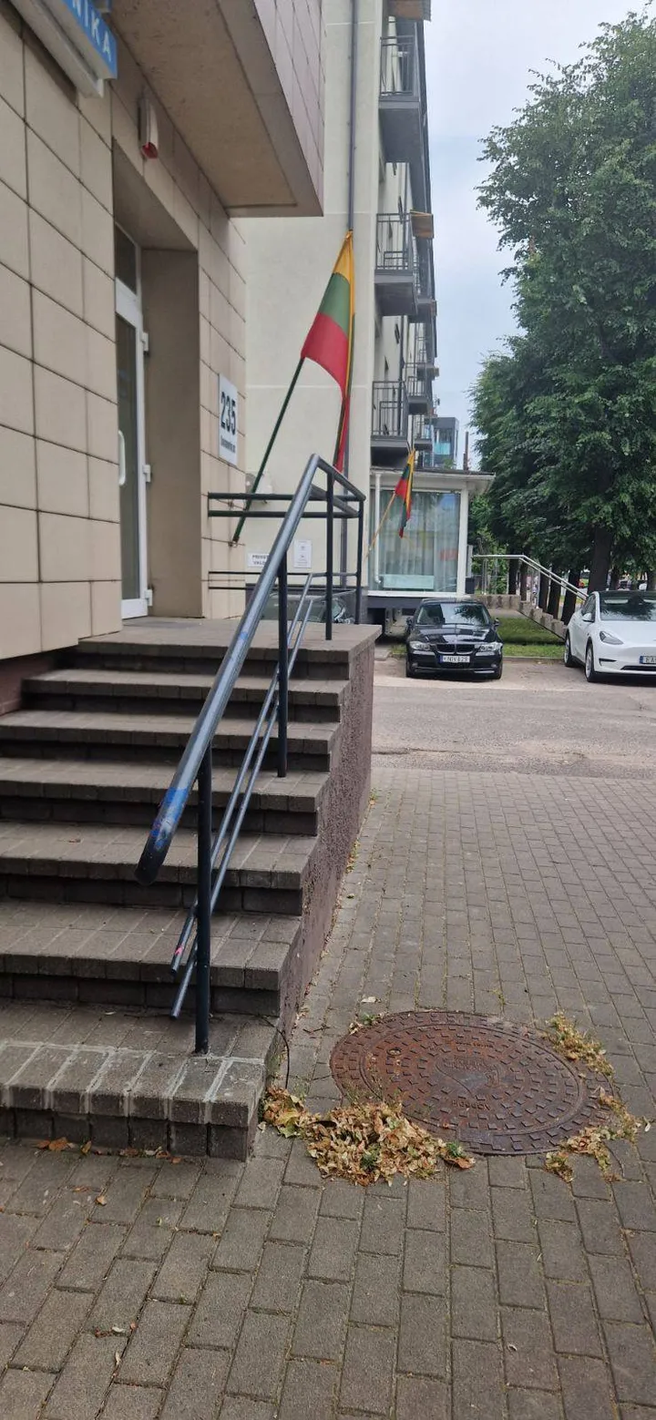 Vėliava liepos 1 d. Savanorių pr. / Skaitytojos nuotr.